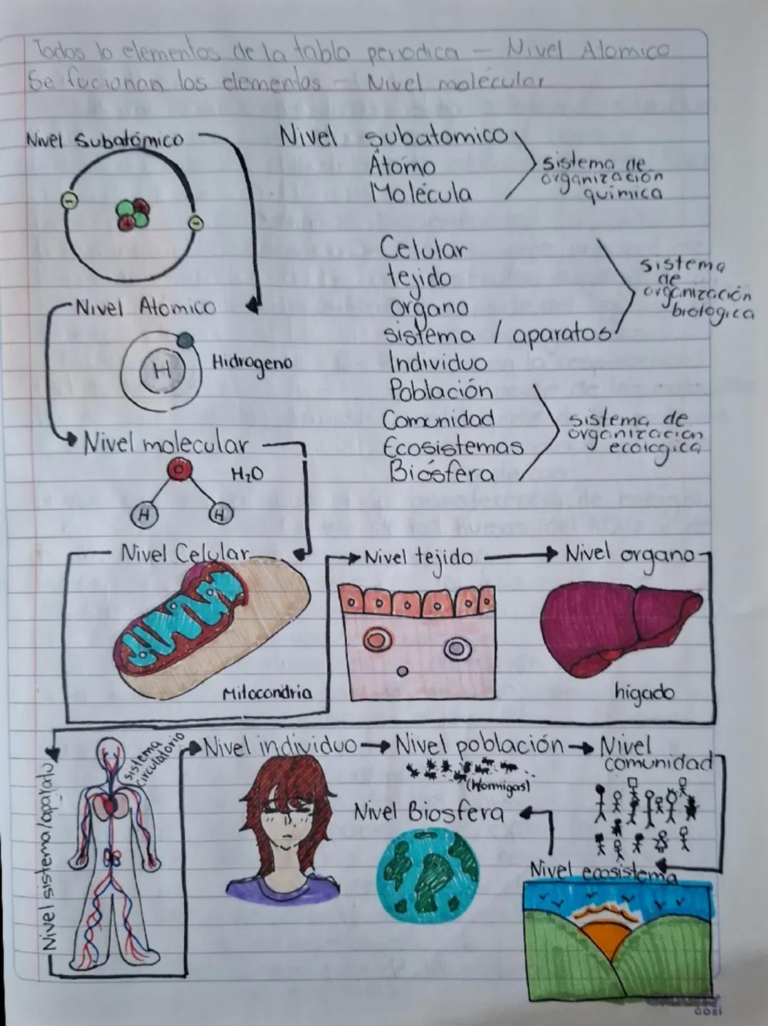 •Nivel sistema/aparatu
- Nivel Atomico
Todos lo elementos de la tabla periodica.
Se fucionan los elementos - Nivel molécular
Nivel Subatómic