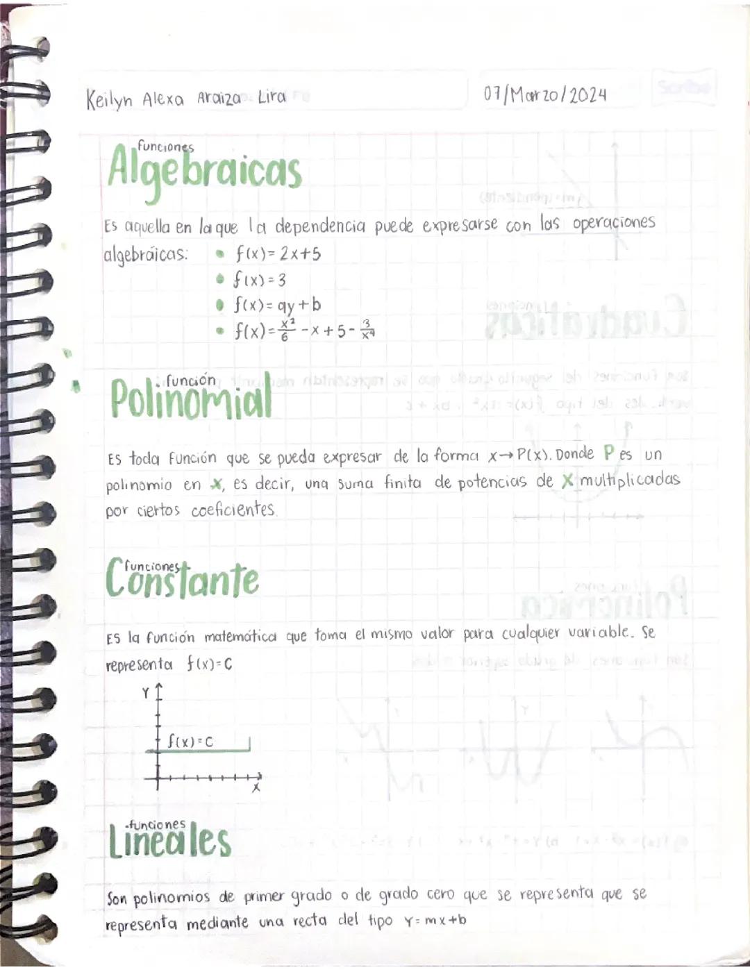 Funciones Matemáticas y sus Tipos