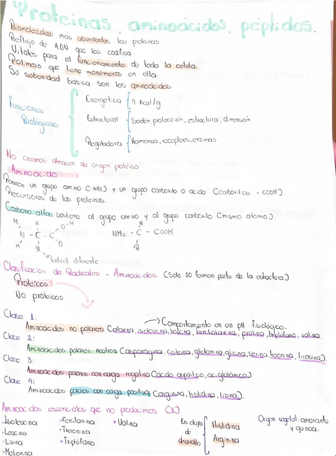 # Proteínas aminoácidos, péptidos.
Biomoléculas más abundantes las proteínas
Reflejo de ADN que los codifica
Vitales para el funcionamiento 