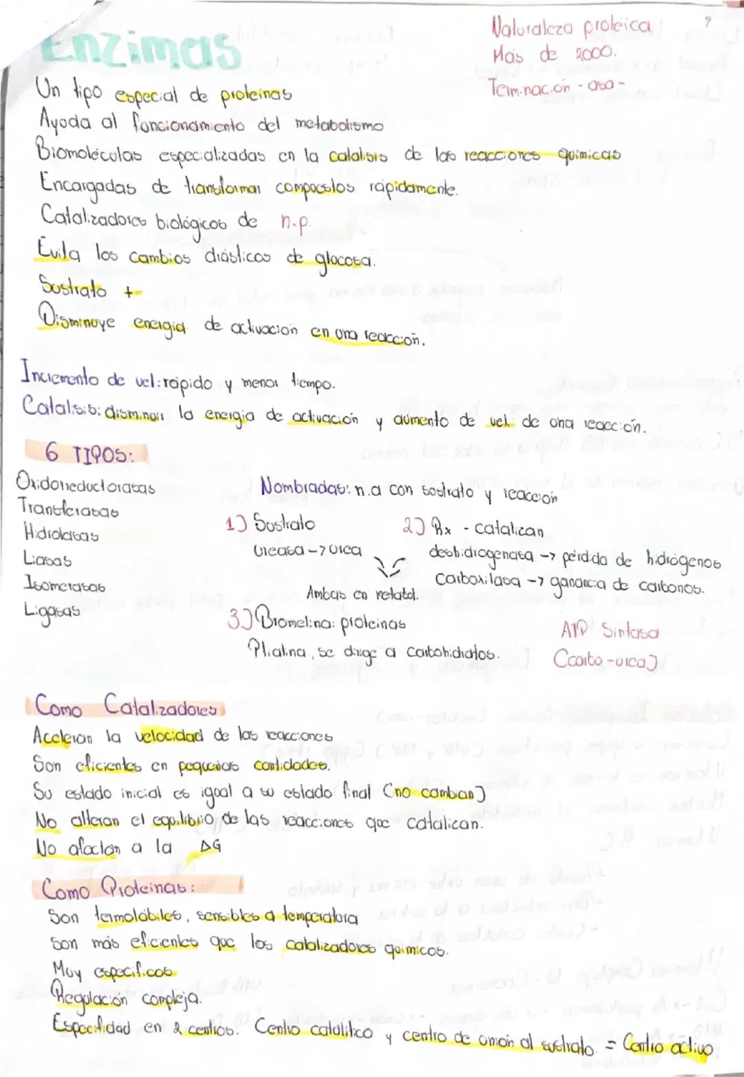 # Proteínas aminoácidos, péptidos.
Biomoléculas más abundantes las proteínas
Reflejo de ADN que los codifica
Vitales para el funcionamiento 