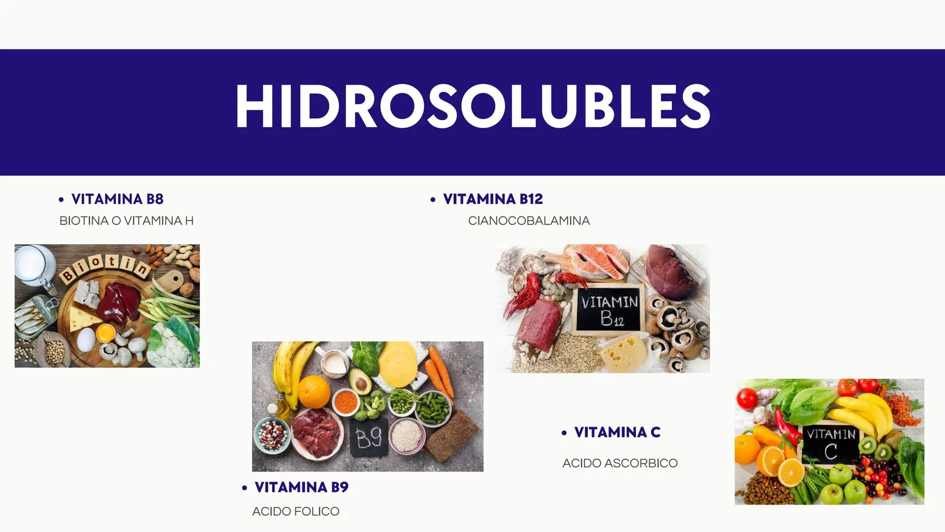 # Introducción

Las vitaminas y minerales son nutrientes esenciales
que desempeñan roles cruciales en el
funcionamiento del organismo humano