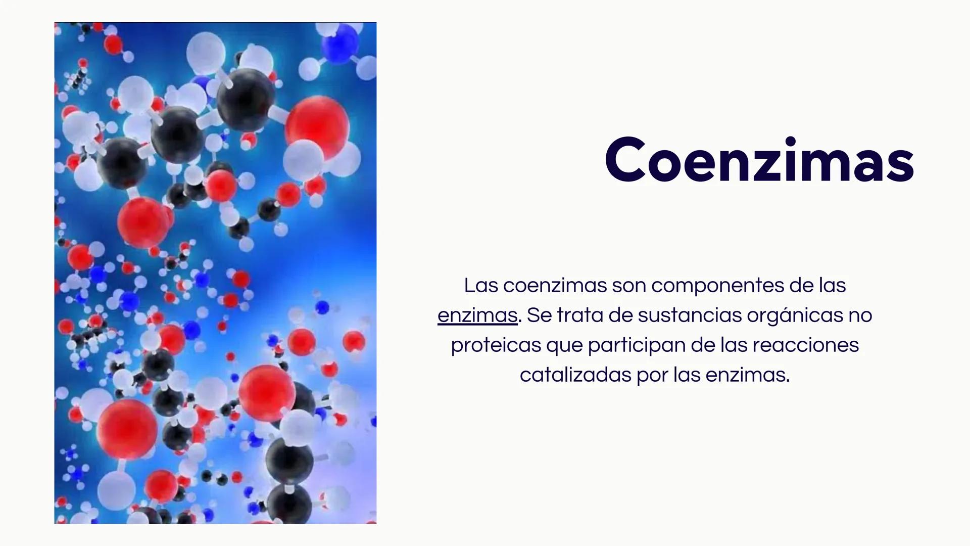 # Introducción

Las vitaminas y minerales son nutrientes esenciales
que desempeñan roles cruciales en el
funcionamiento del organismo humano