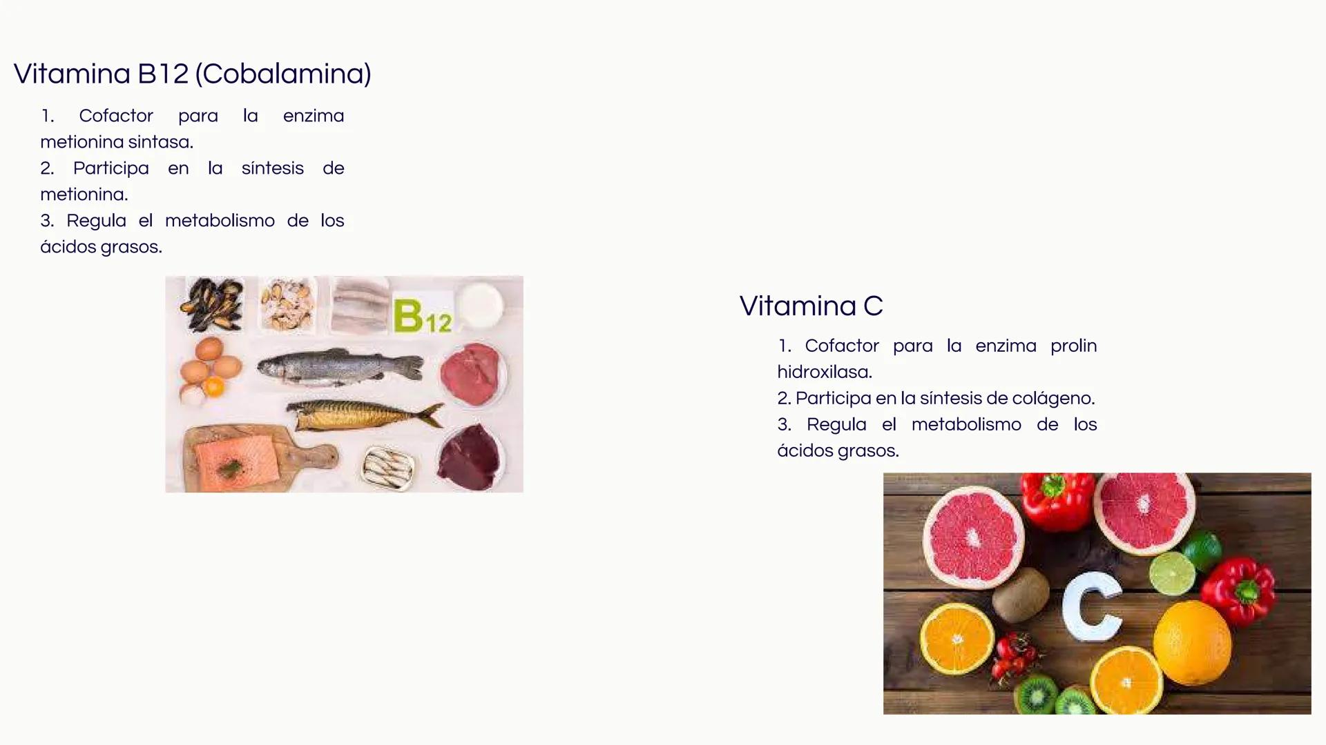 # Introducción

Las vitaminas y minerales son nutrientes esenciales
que desempeñan roles cruciales en el
funcionamiento del organismo humano