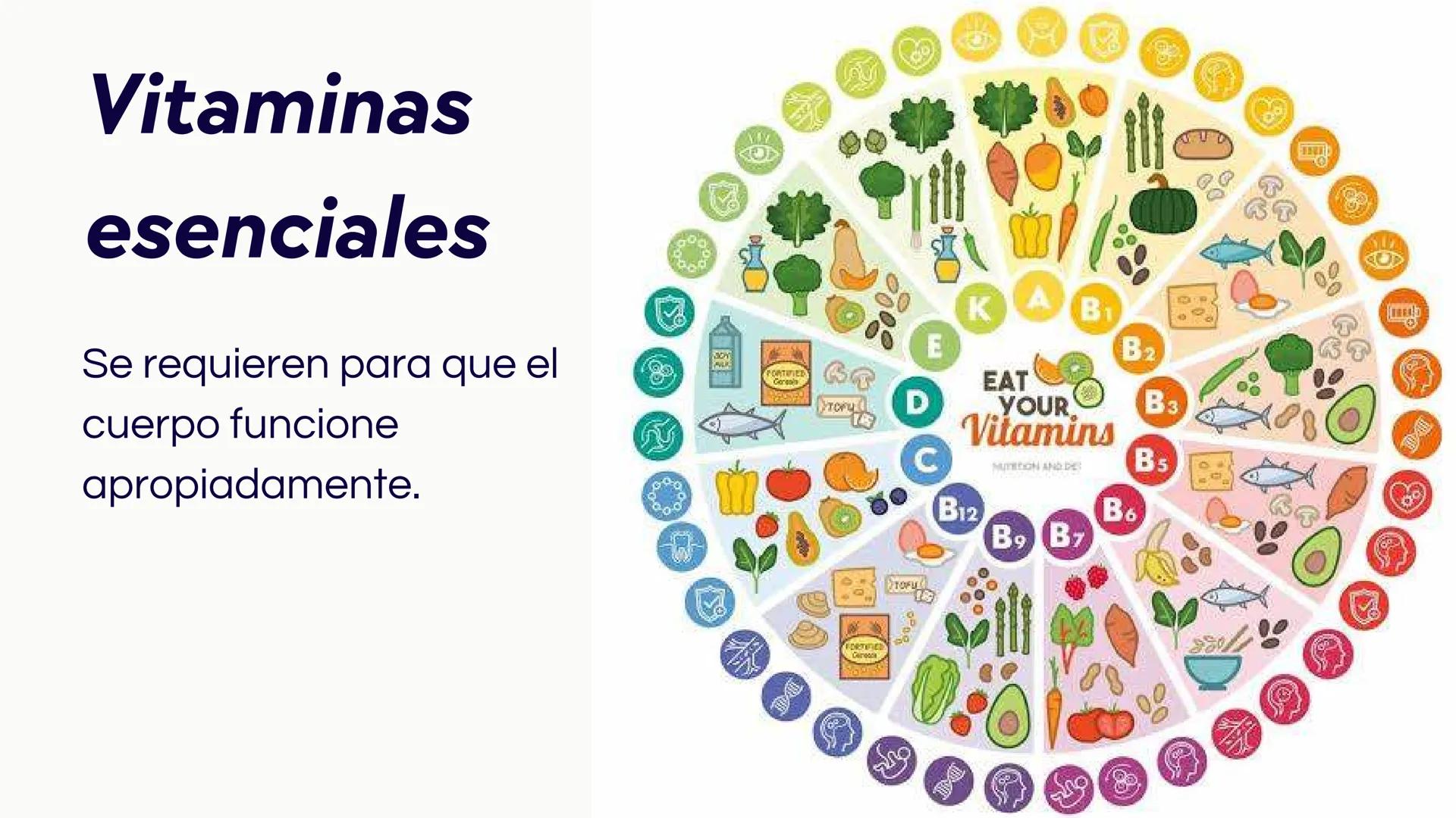 # Introducción

Las vitaminas y minerales son nutrientes esenciales
que desempeñan roles cruciales en el
funcionamiento del organismo humano