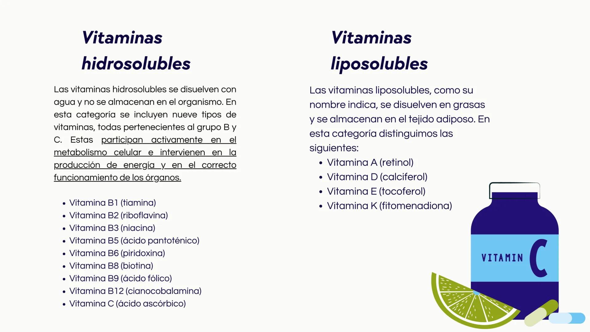 # Introducción

Las vitaminas y minerales son nutrientes esenciales
que desempeñan roles cruciales en el
funcionamiento del organismo humano