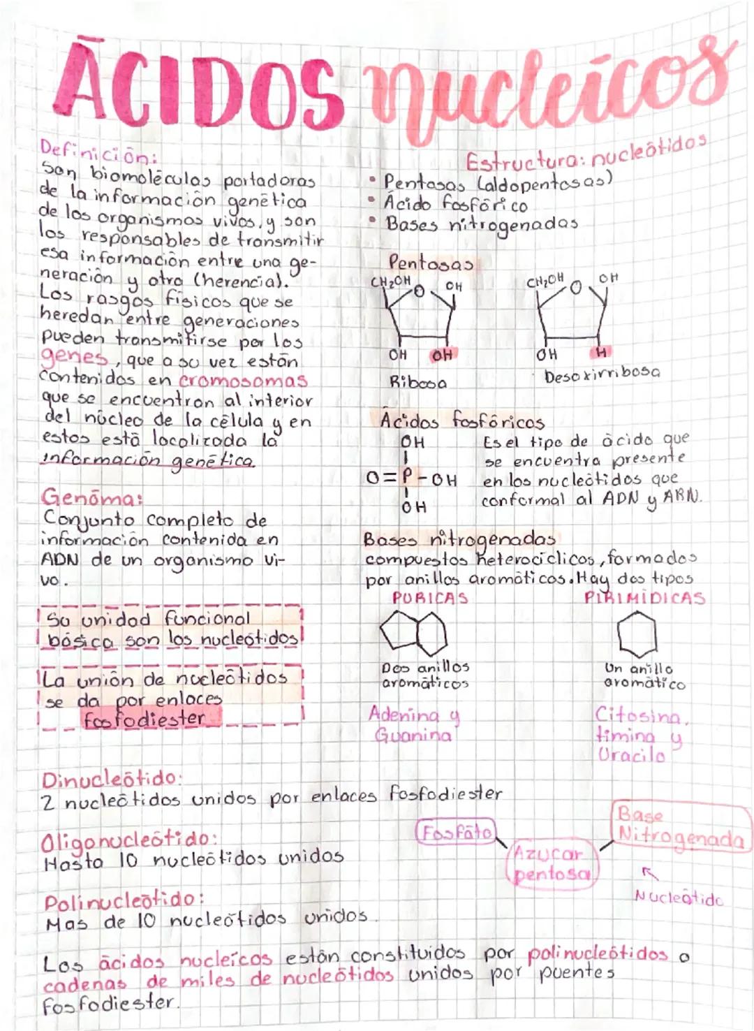 Introducción a los Ácidos Nucleicos