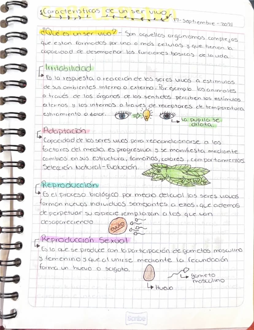 Concepto
de Vida
14-Septiembre-2021
La biología, que sostiene que la vida es la capacidad
de nacer, crecer, reproducirse y morir.
• Propieda