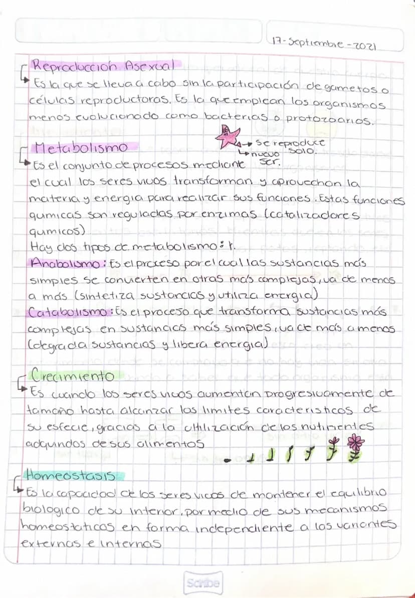 Concepto
de Vida
14-Septiembre-2021
La biología, que sostiene que la vida es la capacidad
de nacer, crecer, reproducirse y morir.
• Propieda
