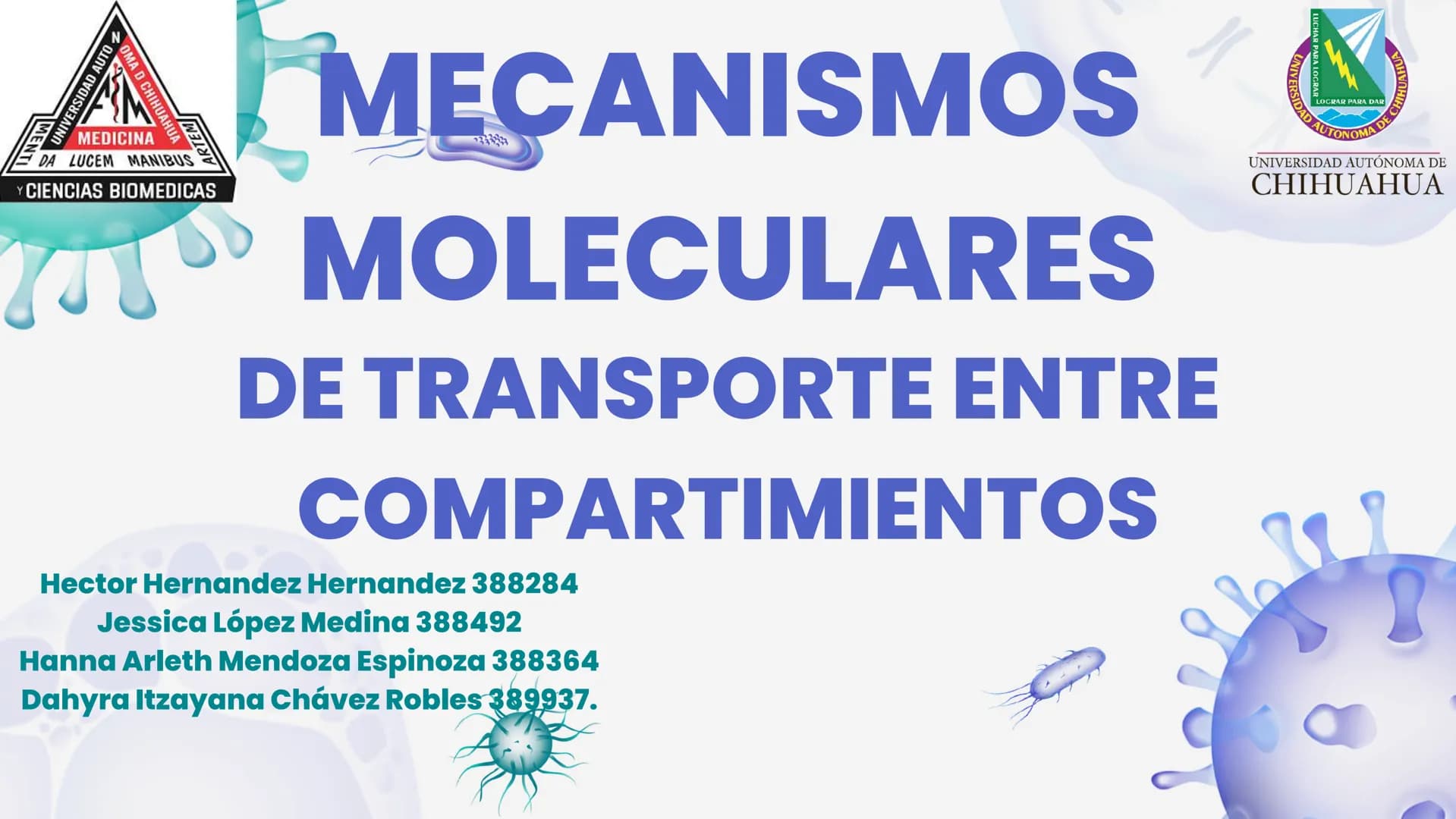 Células eucariotas tienen RE. Su membrana constituye más de
la mitad de la membrana total
Tiene forma de tubulos ramificados y sacos aplanad