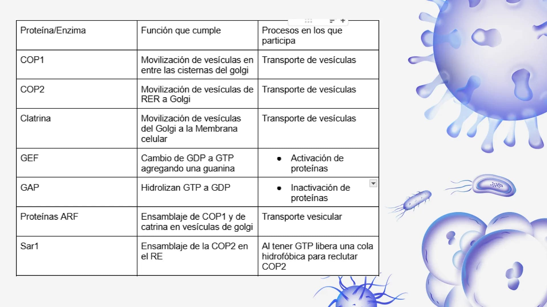 Células eucariotas tienen RE. Su membrana constituye más de
la mitad de la membrana total
Tiene forma de tubulos ramificados y sacos aplanad