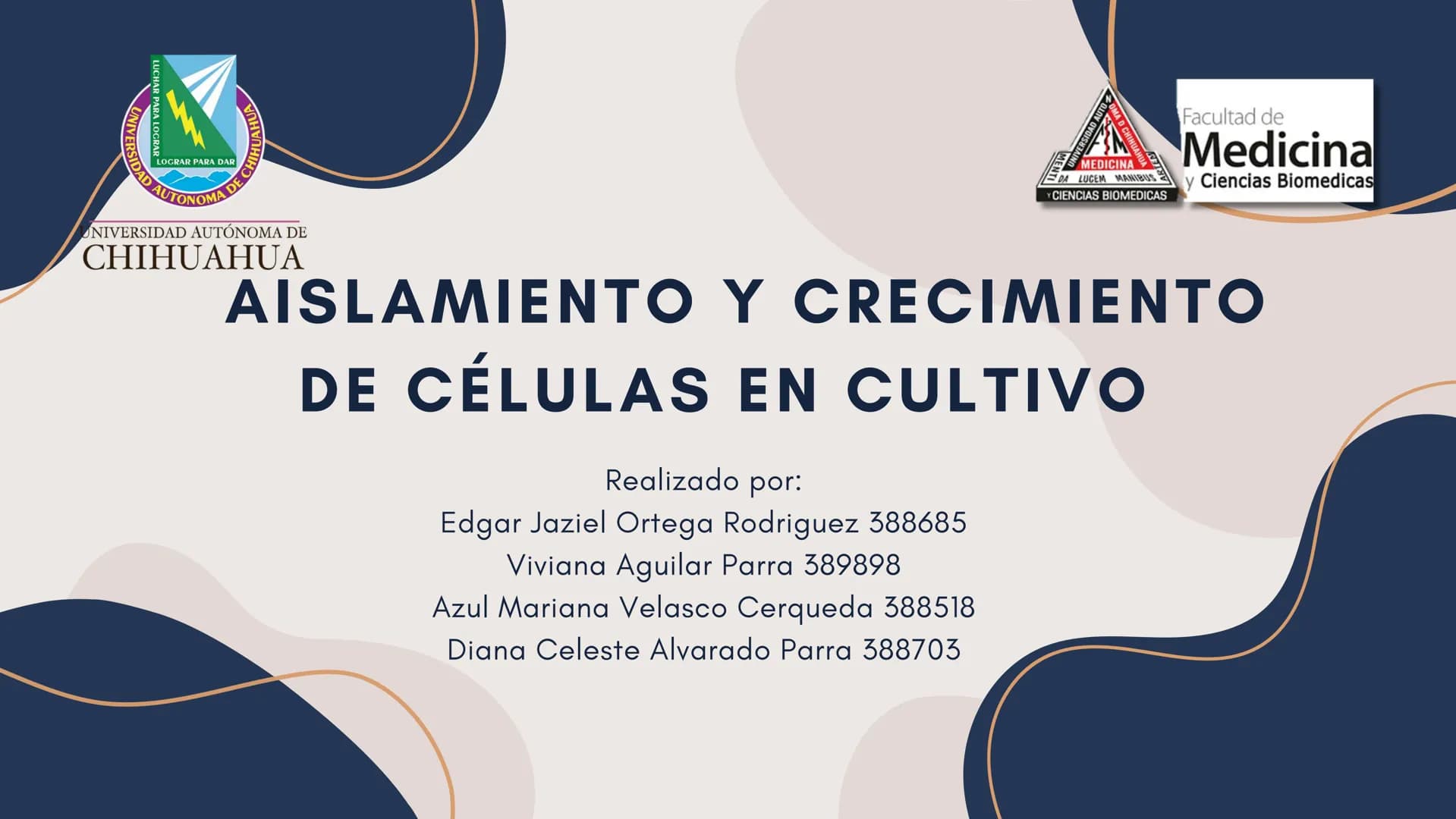 Células eucariotas tienen RE. Su membrana constituye más de
la mitad de la membrana total
Tiene forma de tubulos ramificados y sacos aplanad