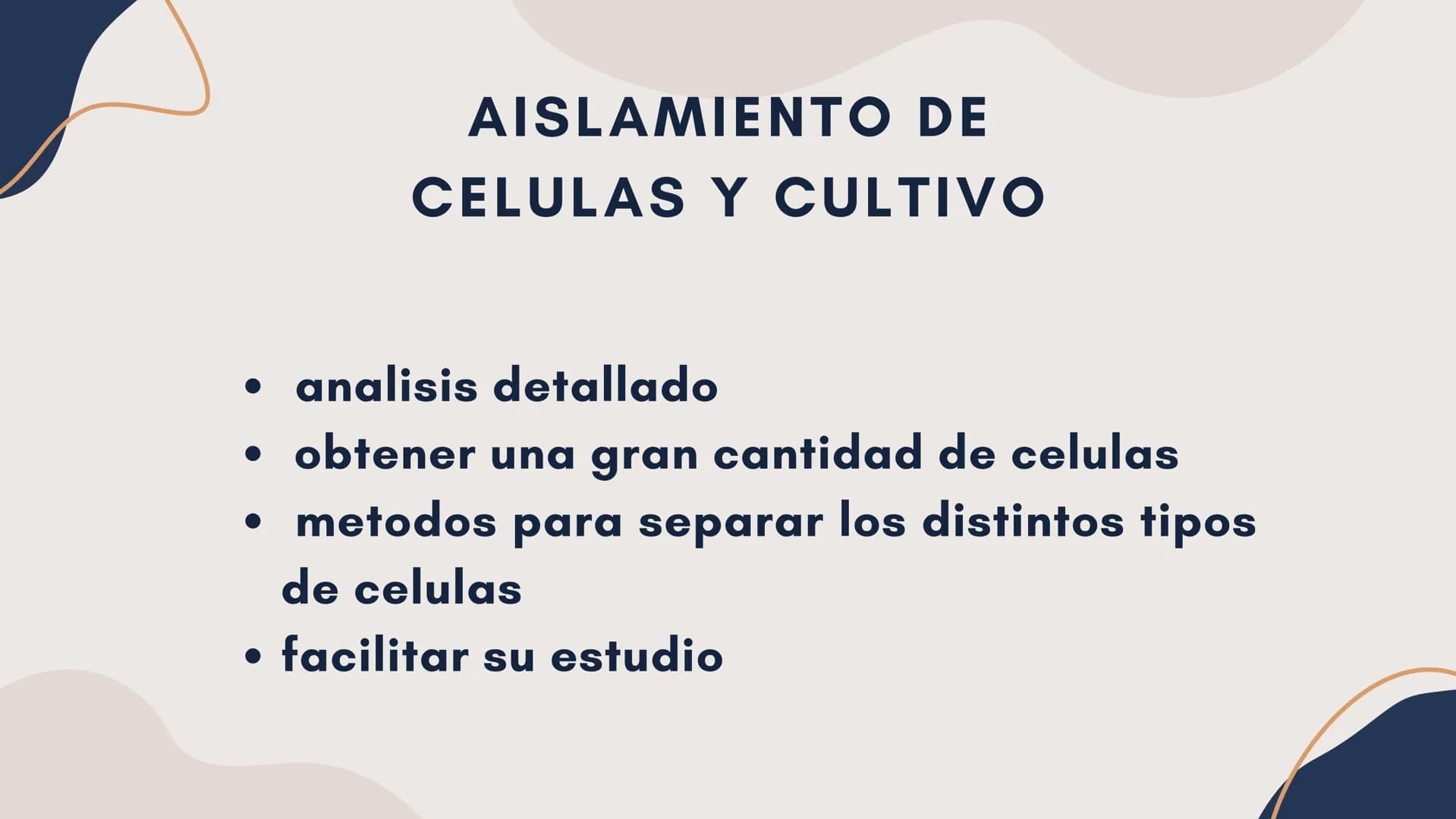 Células eucariotas tienen RE. Su membrana constituye más de
la mitad de la membrana total
Tiene forma de tubulos ramificados y sacos aplanad