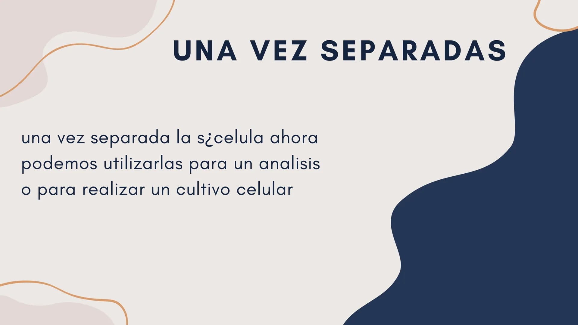 Células eucariotas tienen RE. Su membrana constituye más de
la mitad de la membrana total
Tiene forma de tubulos ramificados y sacos aplanad