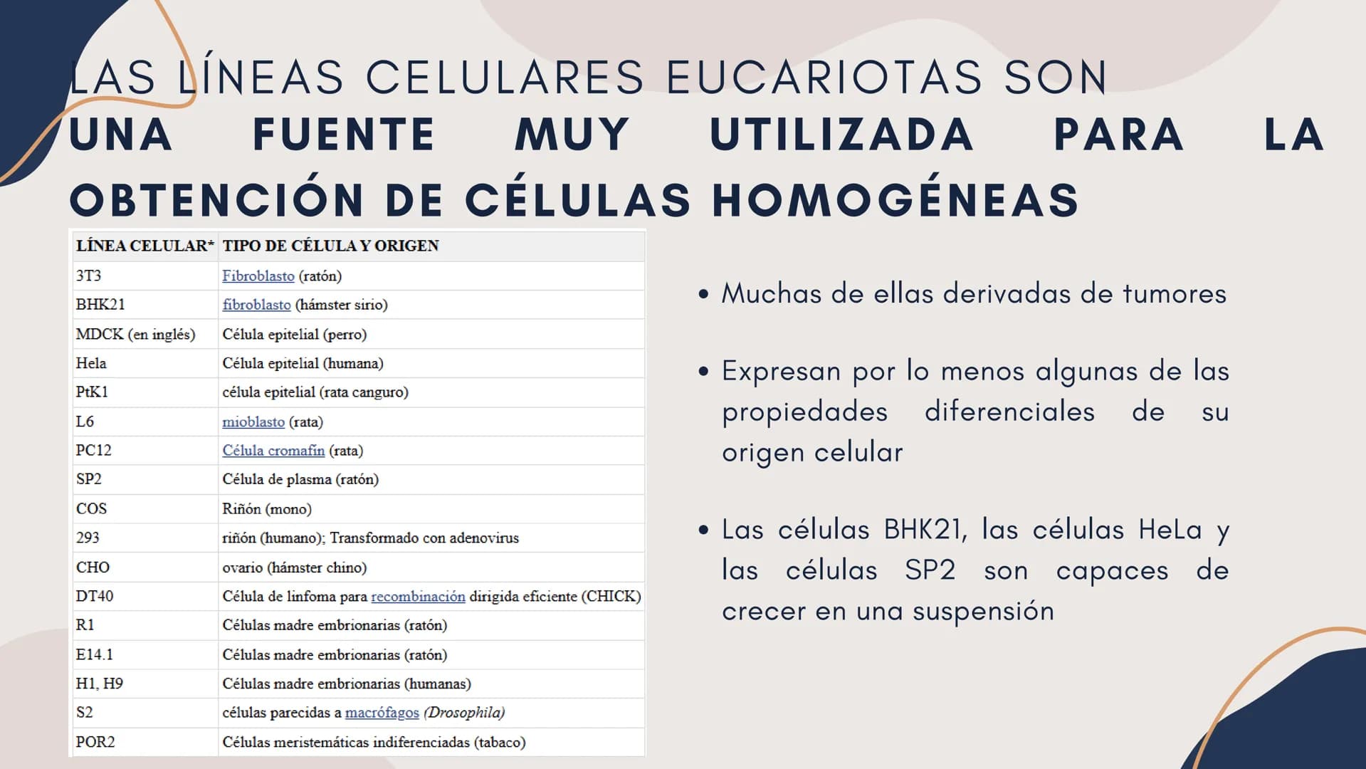 Células eucariotas tienen RE. Su membrana constituye más de
la mitad de la membrana total
Tiene forma de tubulos ramificados y sacos aplanad