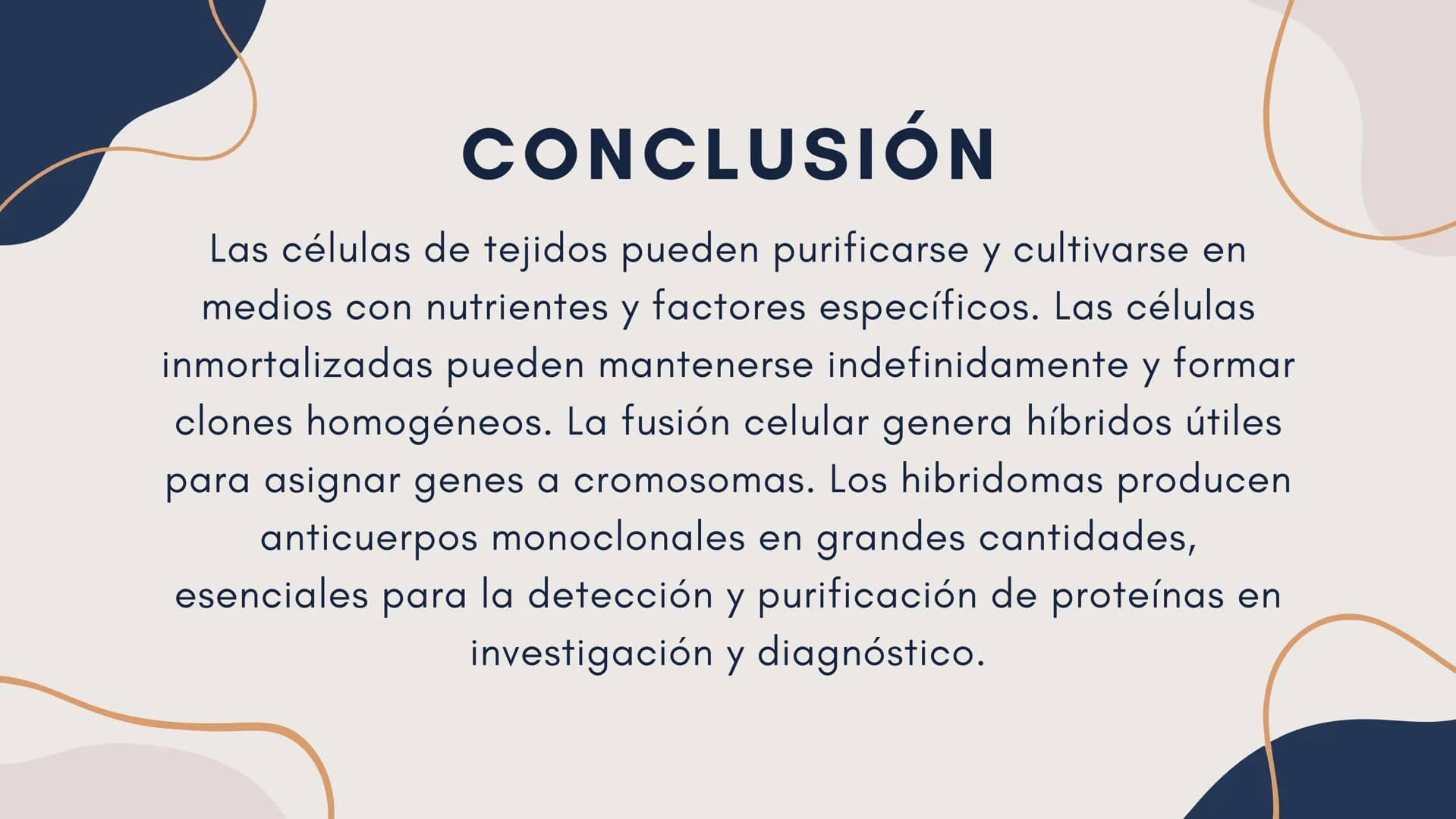Células eucariotas tienen RE. Su membrana constituye más de
la mitad de la membrana total
Tiene forma de tubulos ramificados y sacos aplanad