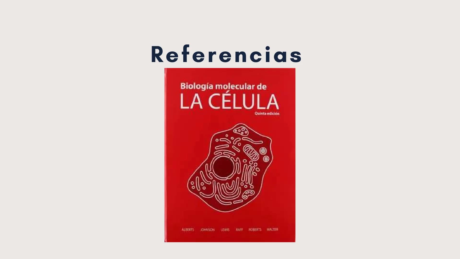 Células eucariotas tienen RE. Su membrana constituye más de
la mitad de la membrana total
Tiene forma de tubulos ramificados y sacos aplanad