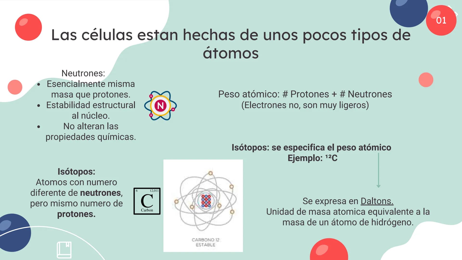 Células eucariotas tienen RE. Su membrana constituye más de
la mitad de la membrana total
Tiene forma de tubulos ramificados y sacos aplanad