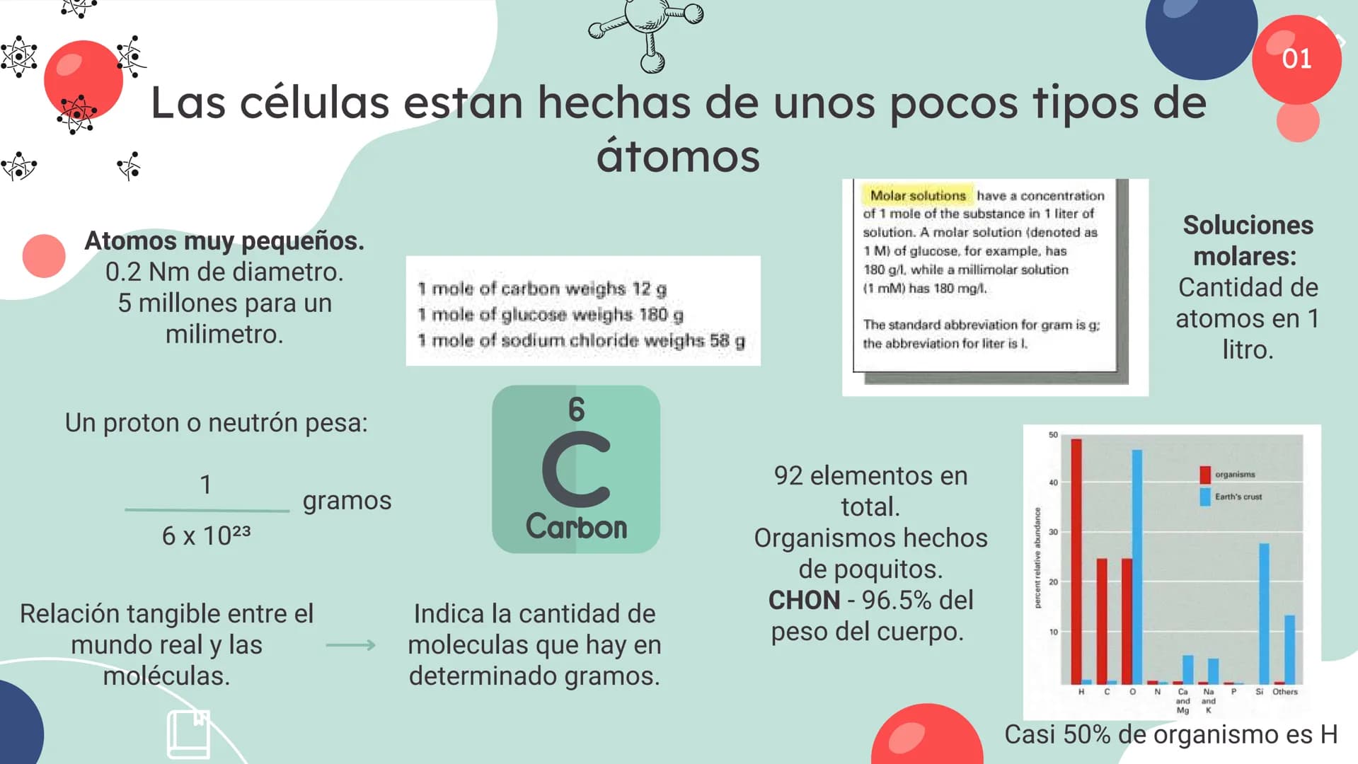 Células eucariotas tienen RE. Su membrana constituye más de
la mitad de la membrana total
Tiene forma de tubulos ramificados y sacos aplanad
