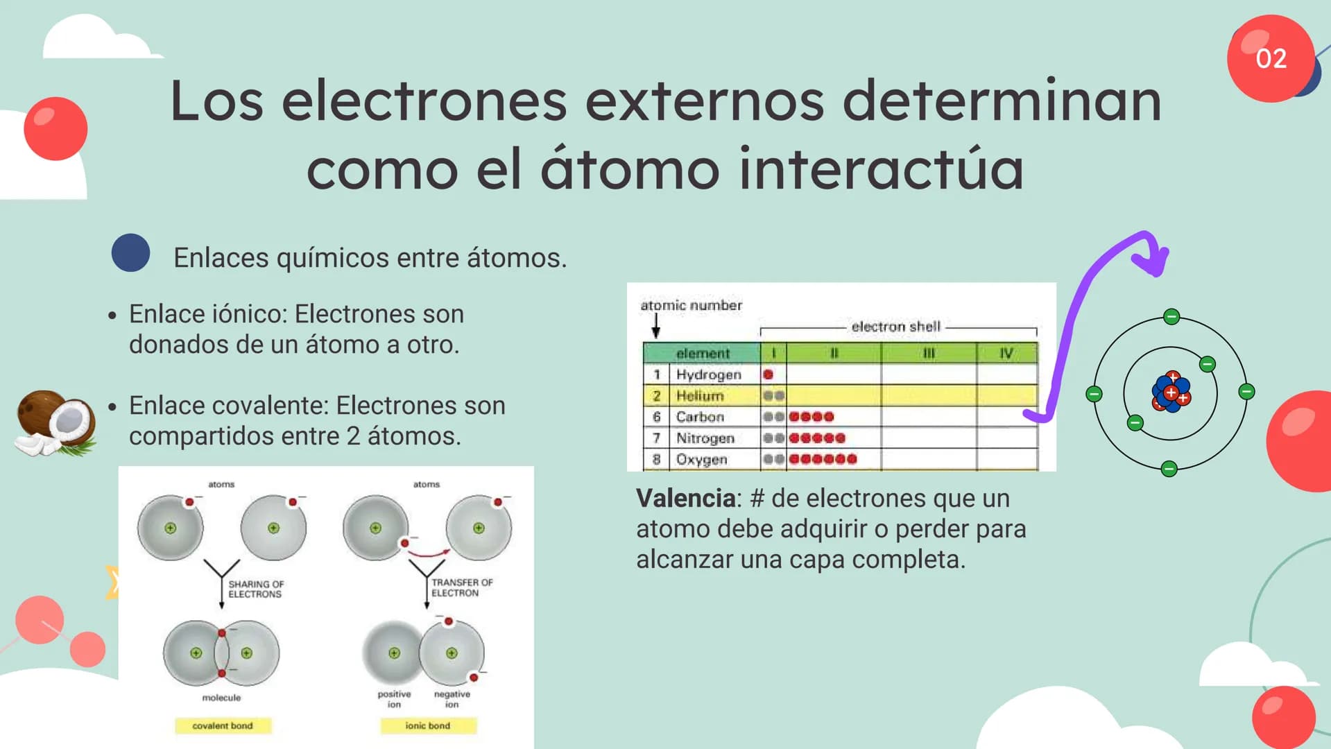 Células eucariotas tienen RE. Su membrana constituye más de
la mitad de la membrana total
Tiene forma de tubulos ramificados y sacos aplanad