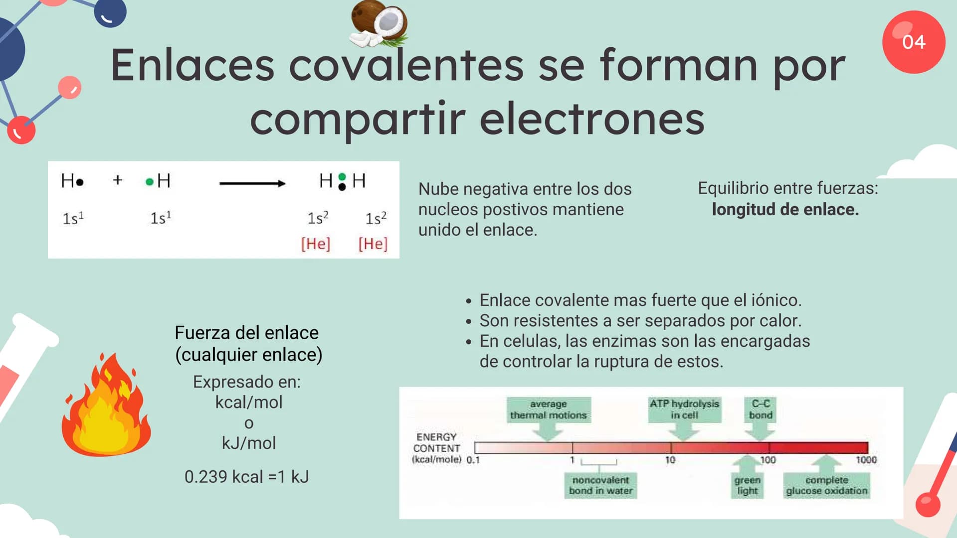 Células eucariotas tienen RE. Su membrana constituye más de
la mitad de la membrana total
Tiene forma de tubulos ramificados y sacos aplanad