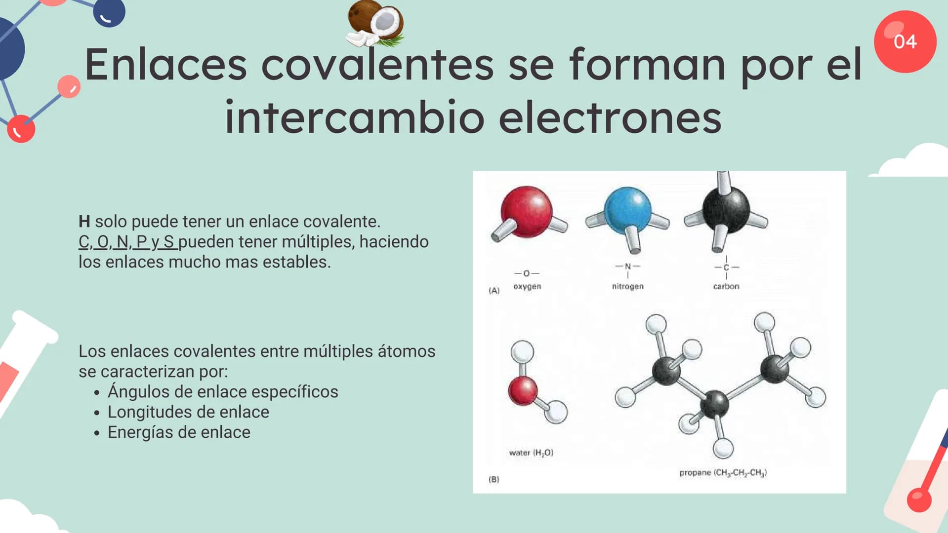 Células eucariotas tienen RE. Su membrana constituye más de
la mitad de la membrana total
Tiene forma de tubulos ramificados y sacos aplanad
