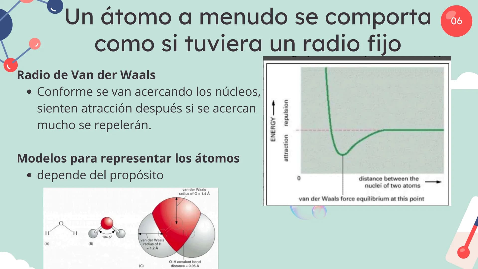 Células eucariotas tienen RE. Su membrana constituye más de
la mitad de la membrana total
Tiene forma de tubulos ramificados y sacos aplanad