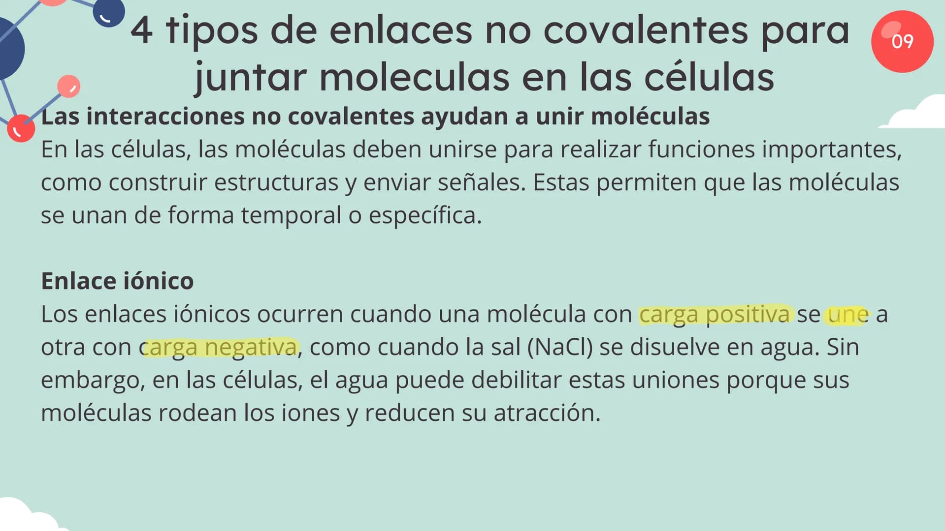 Células eucariotas tienen RE. Su membrana constituye más de
la mitad de la membrana total
Tiene forma de tubulos ramificados y sacos aplanad