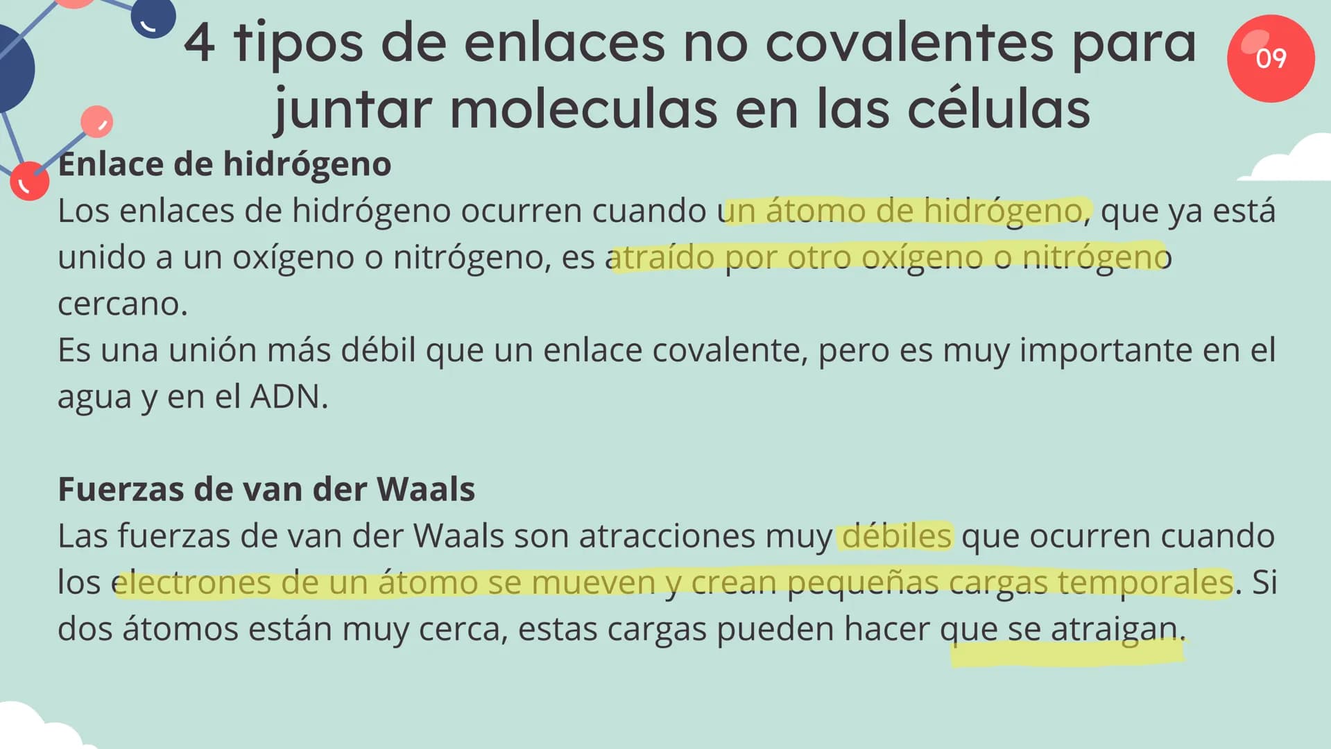 Células eucariotas tienen RE. Su membrana constituye más de
la mitad de la membrana total
Tiene forma de tubulos ramificados y sacos aplanad