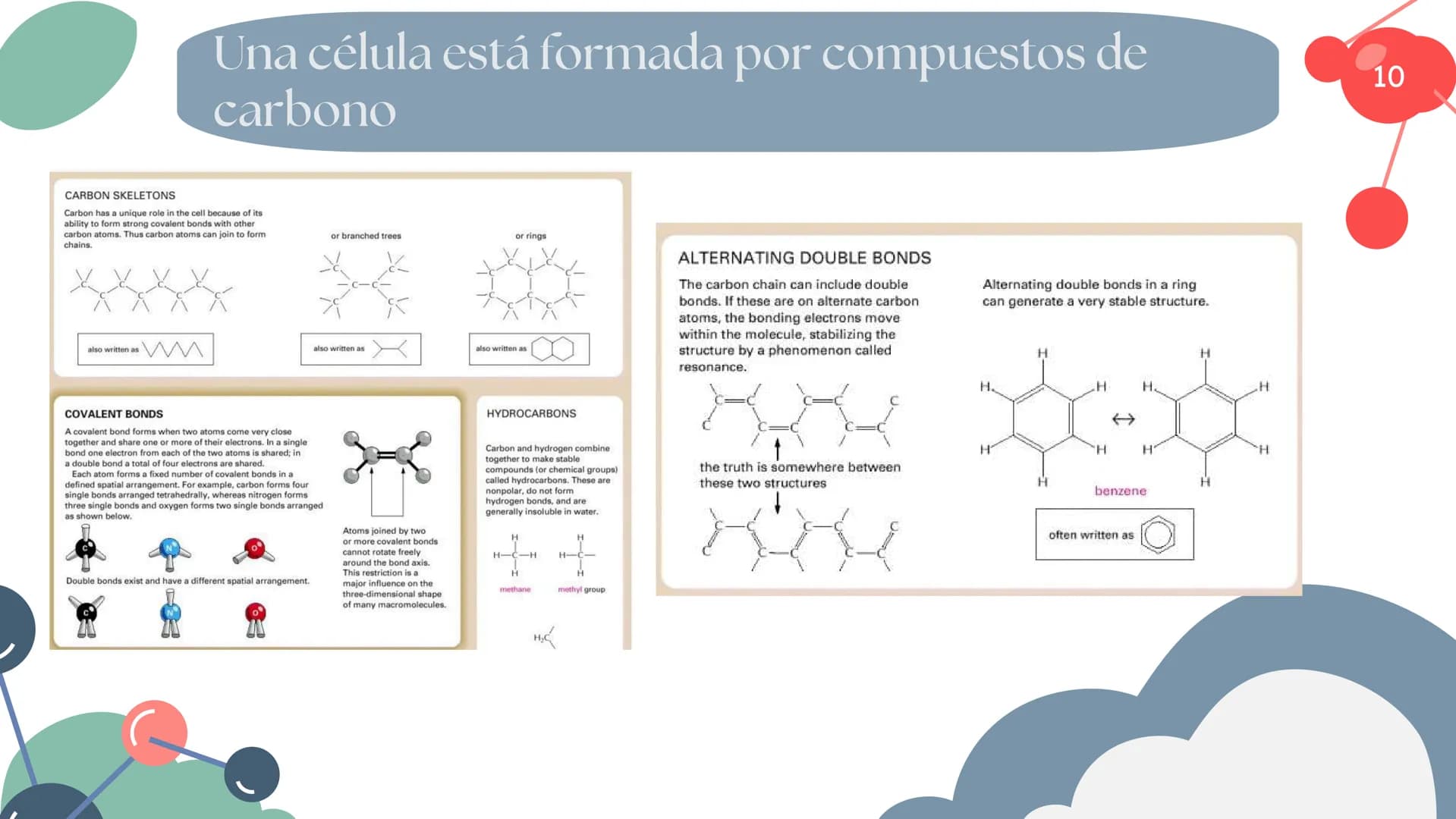 Células eucariotas tienen RE. Su membrana constituye más de
la mitad de la membrana total
Tiene forma de tubulos ramificados y sacos aplanad