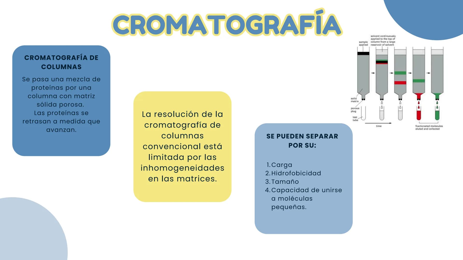 Células eucariotas tienen RE. Su membrana constituye más de
la mitad de la membrana total
Tiene forma de tubulos ramificados y sacos aplanad
