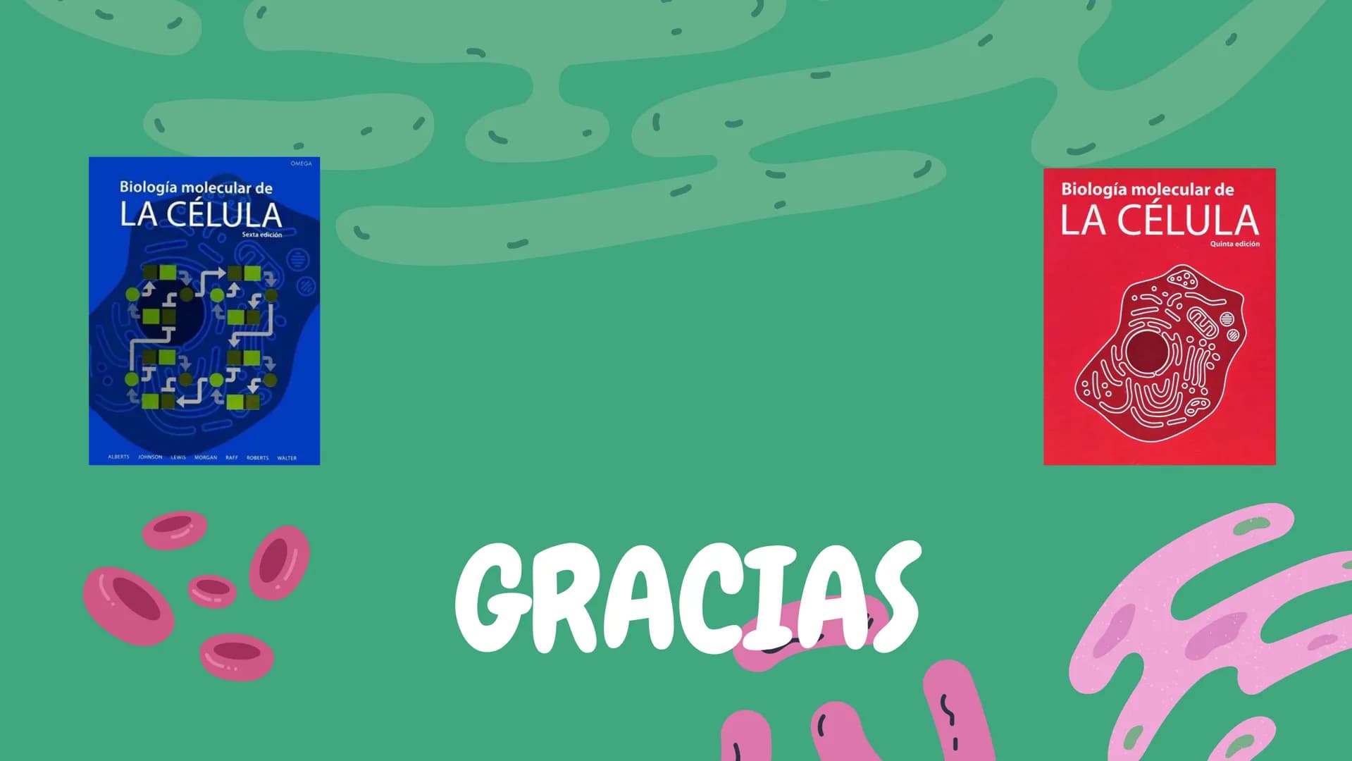 Células eucariotas tienen RE. Su membrana constituye más de
la mitad de la membrana total
Tiene forma de tubulos ramificados y sacos aplanad