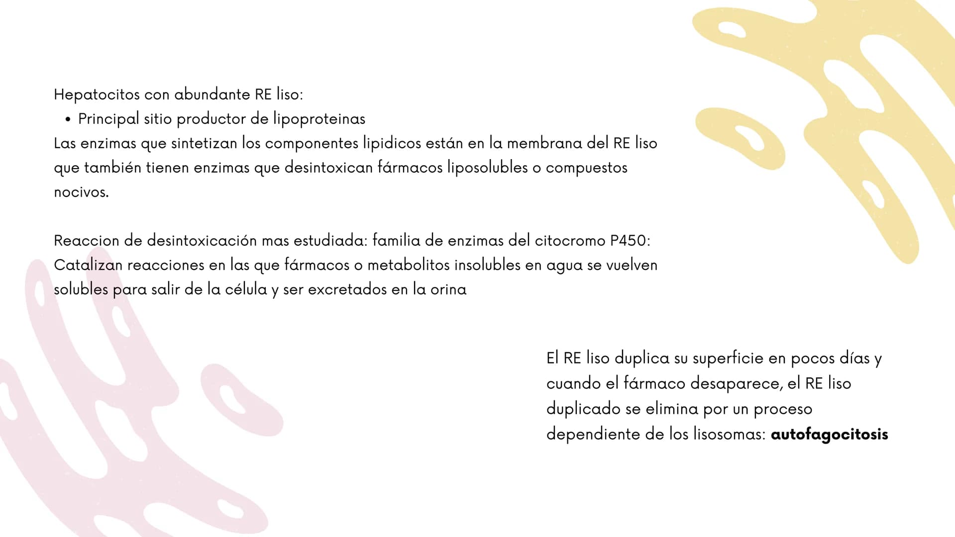 Células eucariotas tienen RE. Su membrana constituye más de
la mitad de la membrana total
Tiene forma de tubulos ramificados y sacos aplanad
