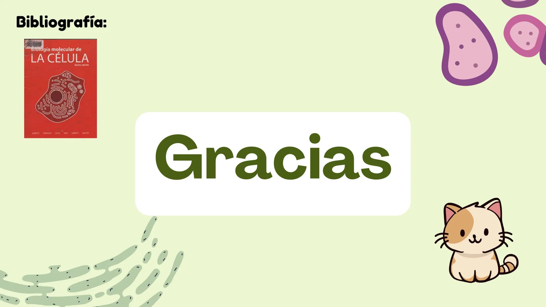 Células eucariotas tienen RE. Su membrana constituye más de
la mitad de la membrana total
Tiene forma de tubulos ramificados y sacos aplanad