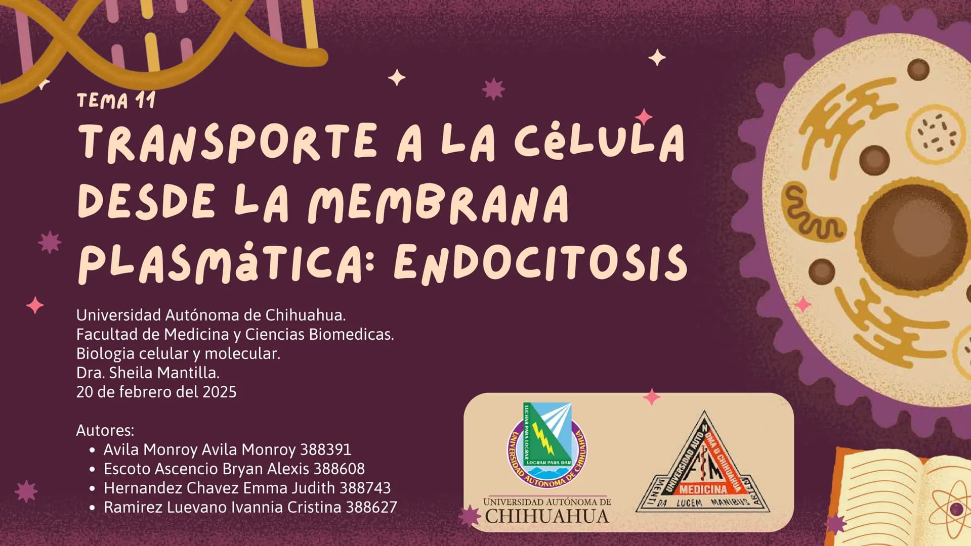 Células eucariotas tienen RE. Su membrana constituye más de
la mitad de la membrana total
Tiene forma de tubulos ramificados y sacos aplanad
