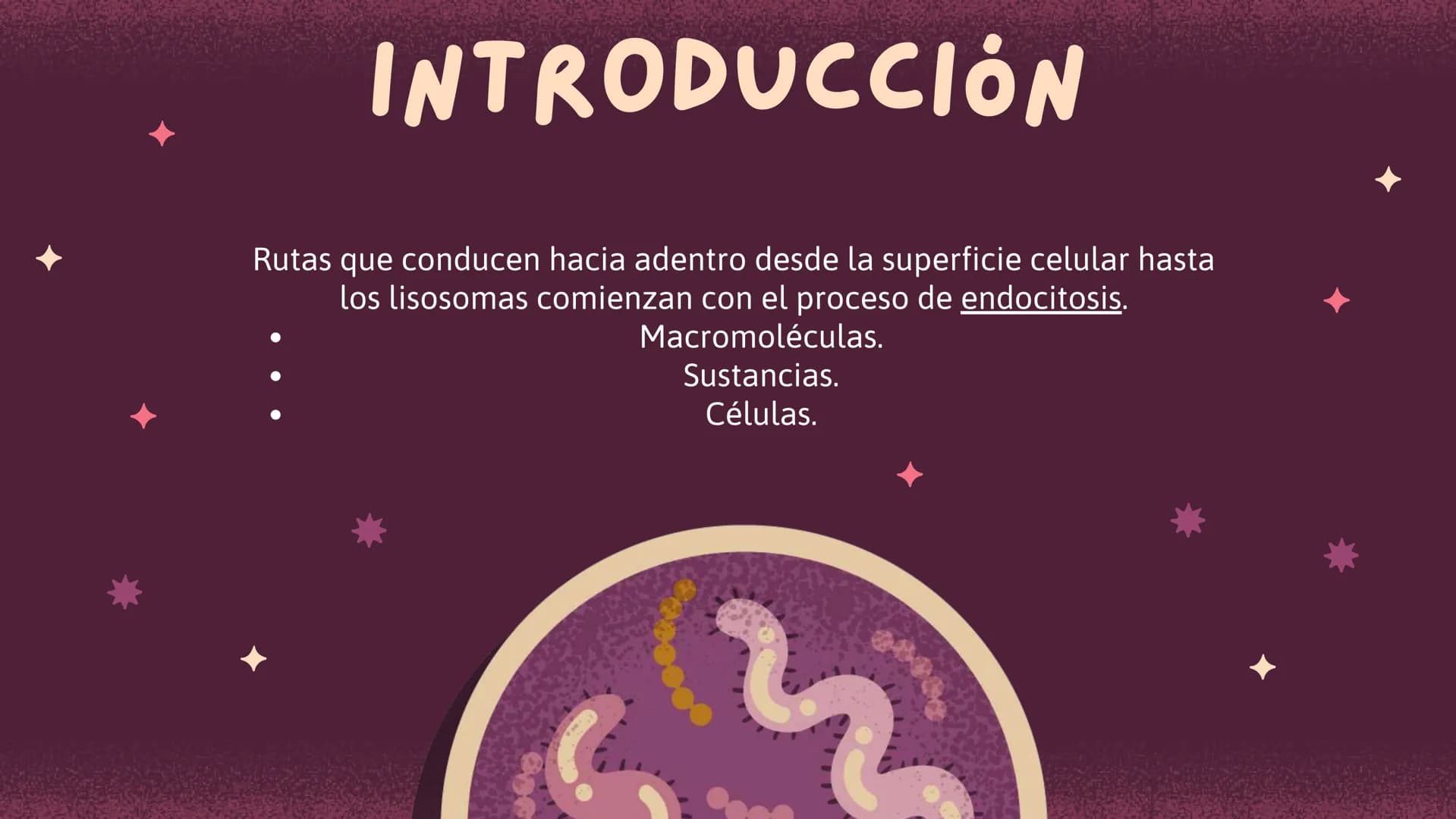 Células eucariotas tienen RE. Su membrana constituye más de
la mitad de la membrana total
Tiene forma de tubulos ramificados y sacos aplanad