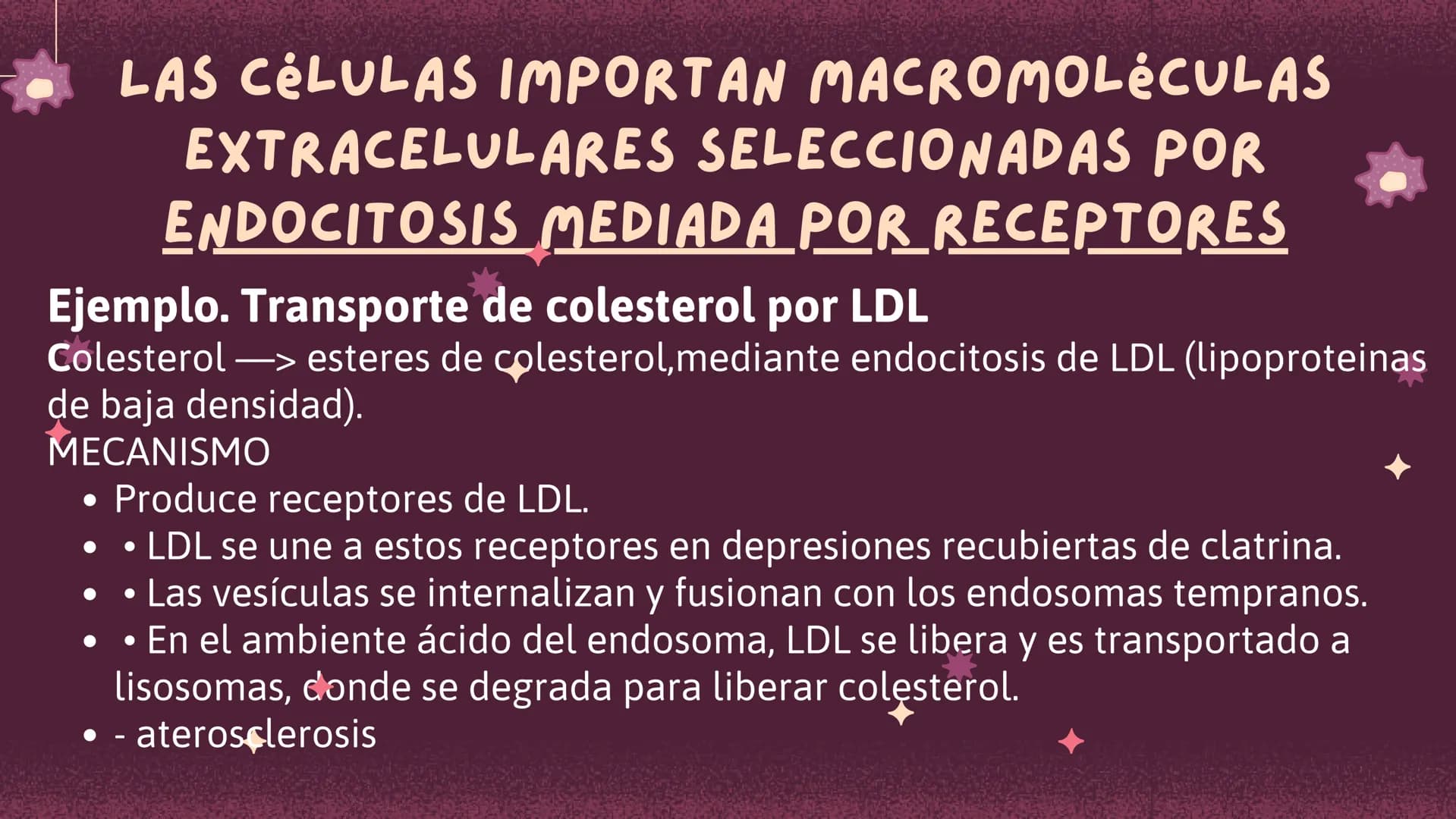 Células eucariotas tienen RE. Su membrana constituye más de
la mitad de la membrana total
Tiene forma de tubulos ramificados y sacos aplanad