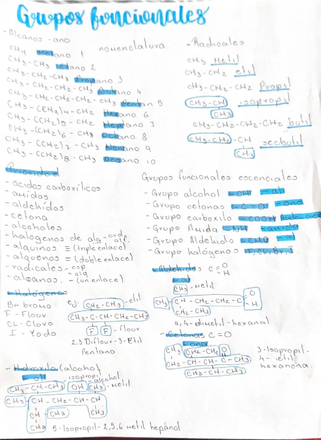 Introducción a los Grupos Funcionales