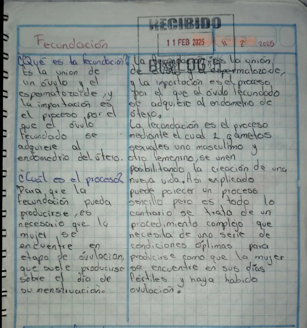 # Fecundación

RECIBIDO

11 FEB 2025

2

2025

¿Qué es la fecundación? Listo
ts la union
de
un ovulo y el
es la unión
de bloed espermatozo.d