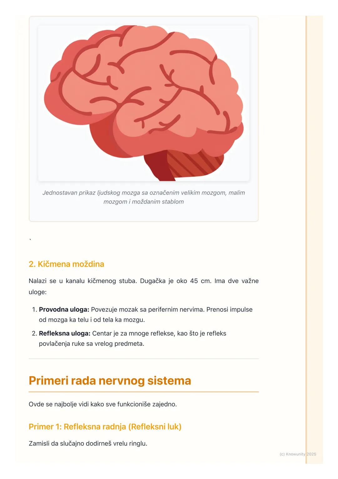 # Nervni sistem

## Uvod u nervni sistem

Nervni sistem je najsloženiji sistem organa u našem telu. Njegova glavna uloga
je da kontroliše i 