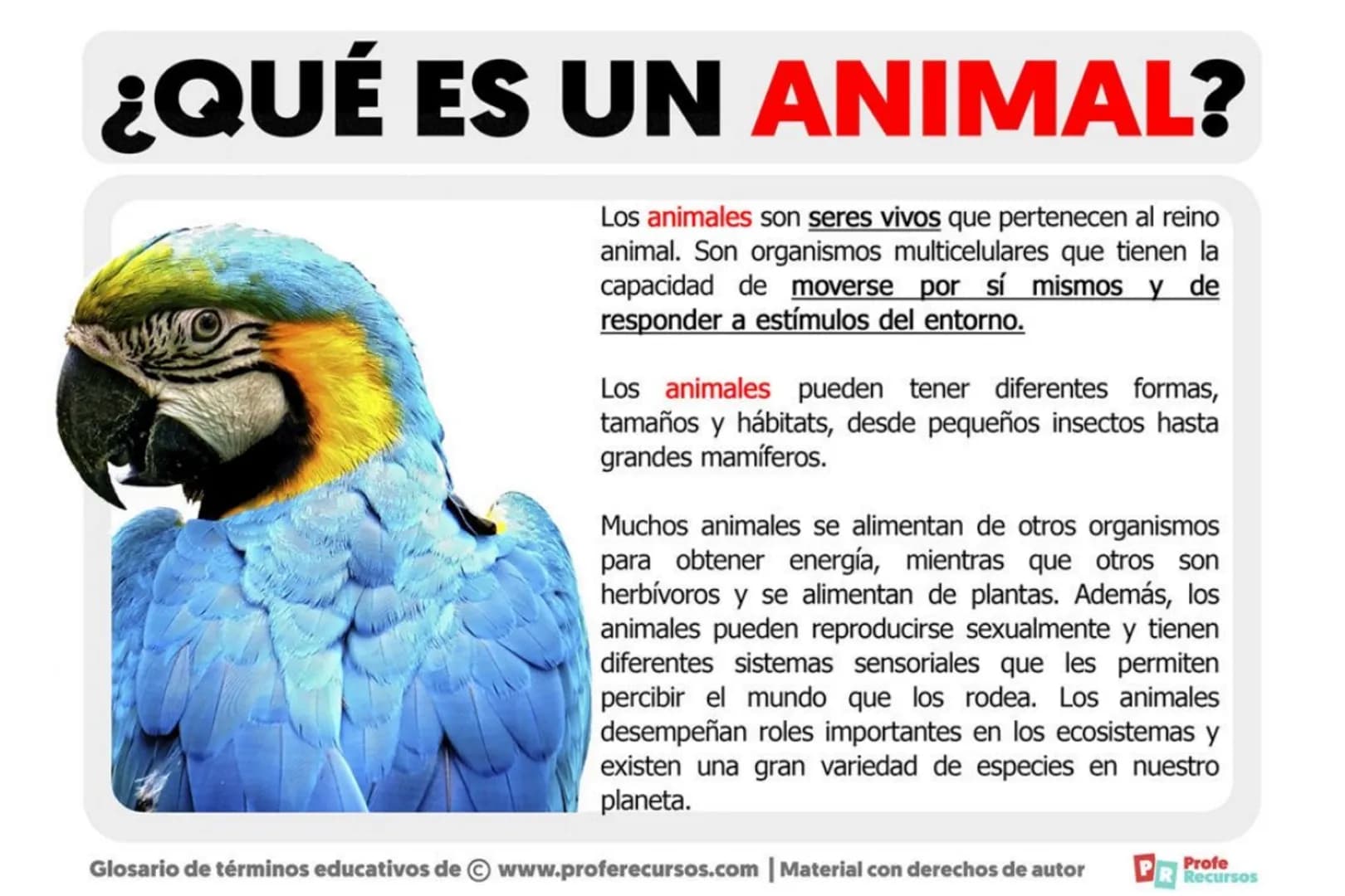 ANIMALES
OVIPAROS
CARACTERÍSTICAS
LO
2
3
NACEN DE
HUEVO
PRESENTAN
MUCHAS
ESPECIES
SE
DESARROLLAN
FUERA DE LA
MADRE
LAS CRIAS AL
NACER SON
IN