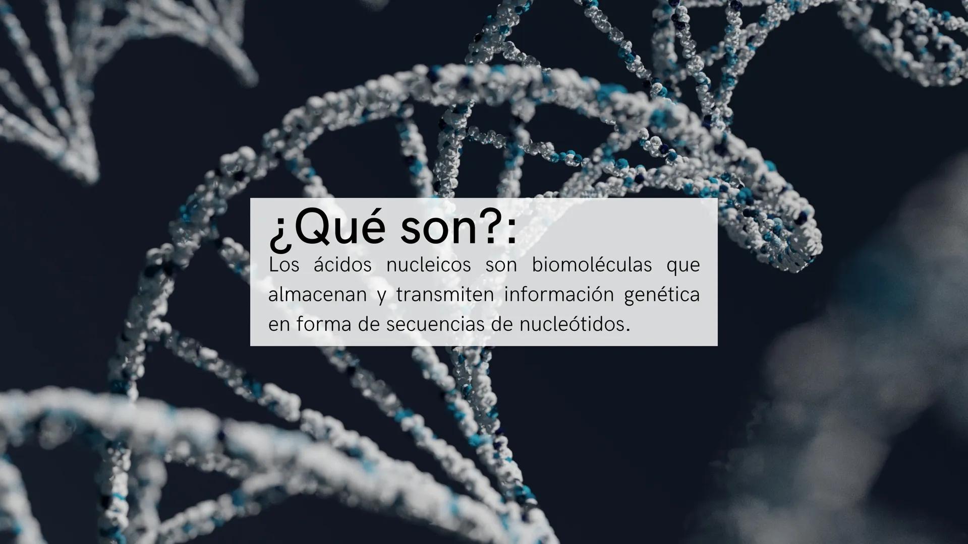 ¿Qué son?:
Los ácidos nucleicos son biomoléculas que
almacenan y transmiten información genética
en forma de secuencias de nucleótidos. Estr