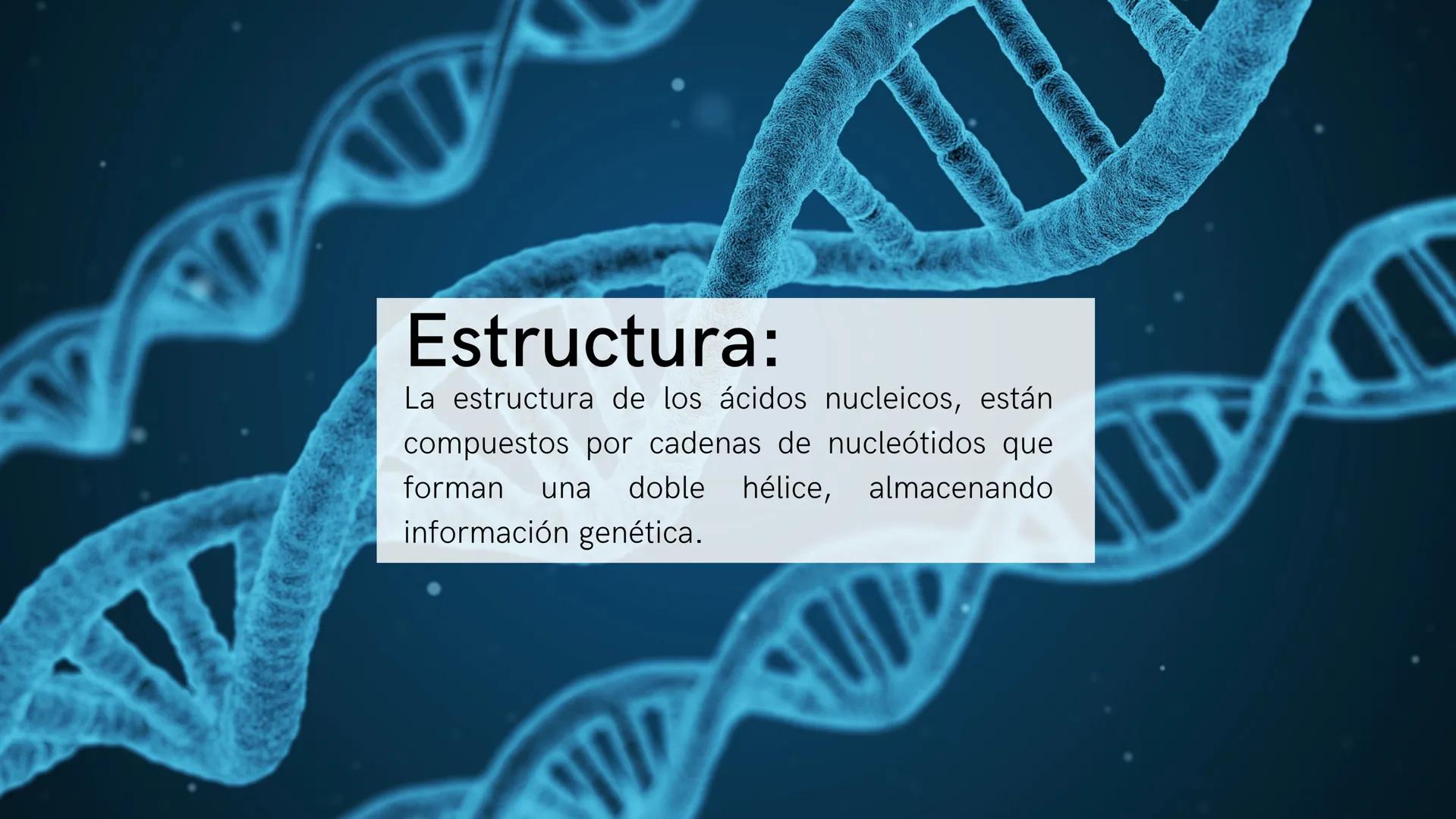 ¿Qué son?:
Los ácidos nucleicos son biomoléculas que
almacenan y transmiten información genética
en forma de secuencias de nucleótidos. Estr