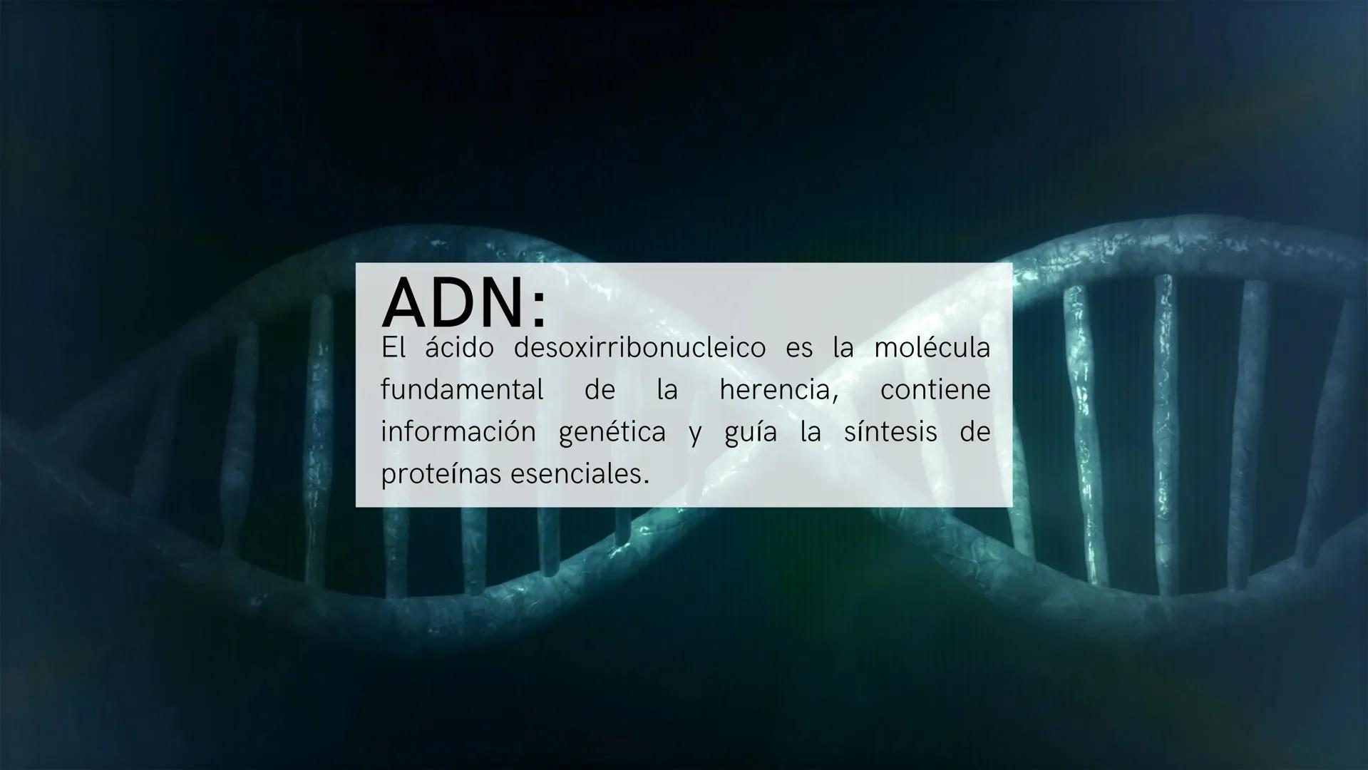 ¿Qué son?:
Los ácidos nucleicos son biomoléculas que
almacenan y transmiten información genética
en forma de secuencias de nucleótidos. Estr
