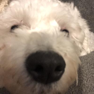 user profile picture