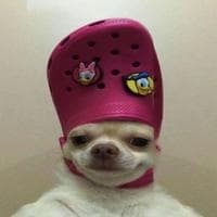 user profile picture