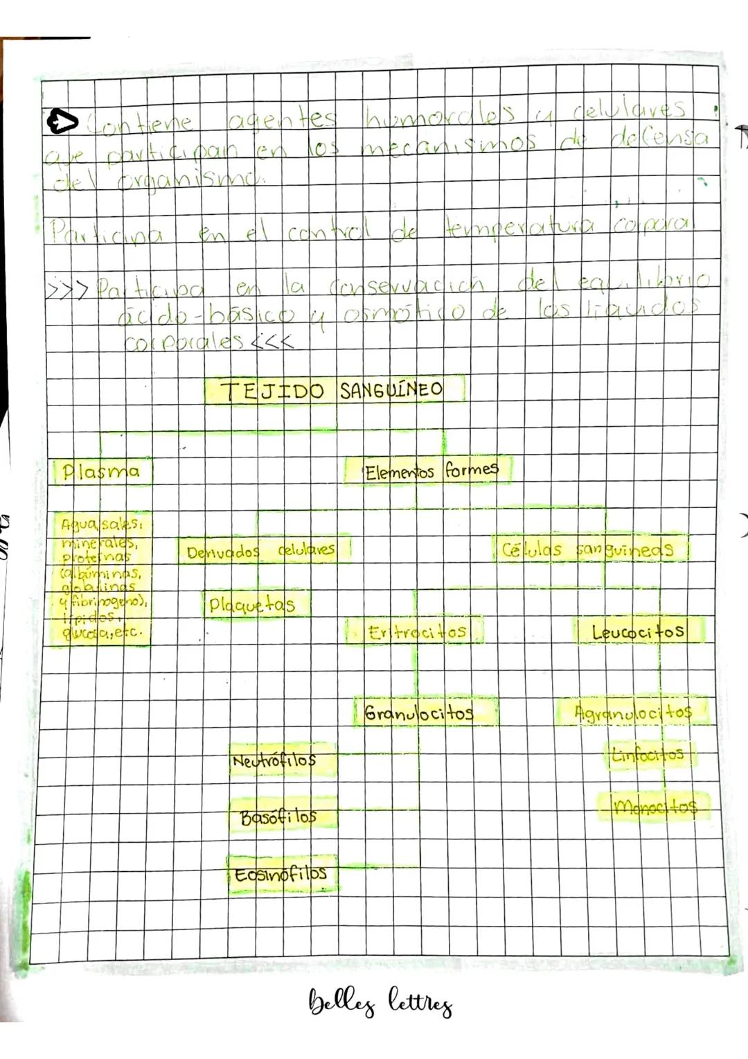 # Banco de Sangre
Composición del tojiganguineo
El tejido sanguíneo o Sangre:
* Variedad especializada de tejido conectivo
* Consisten