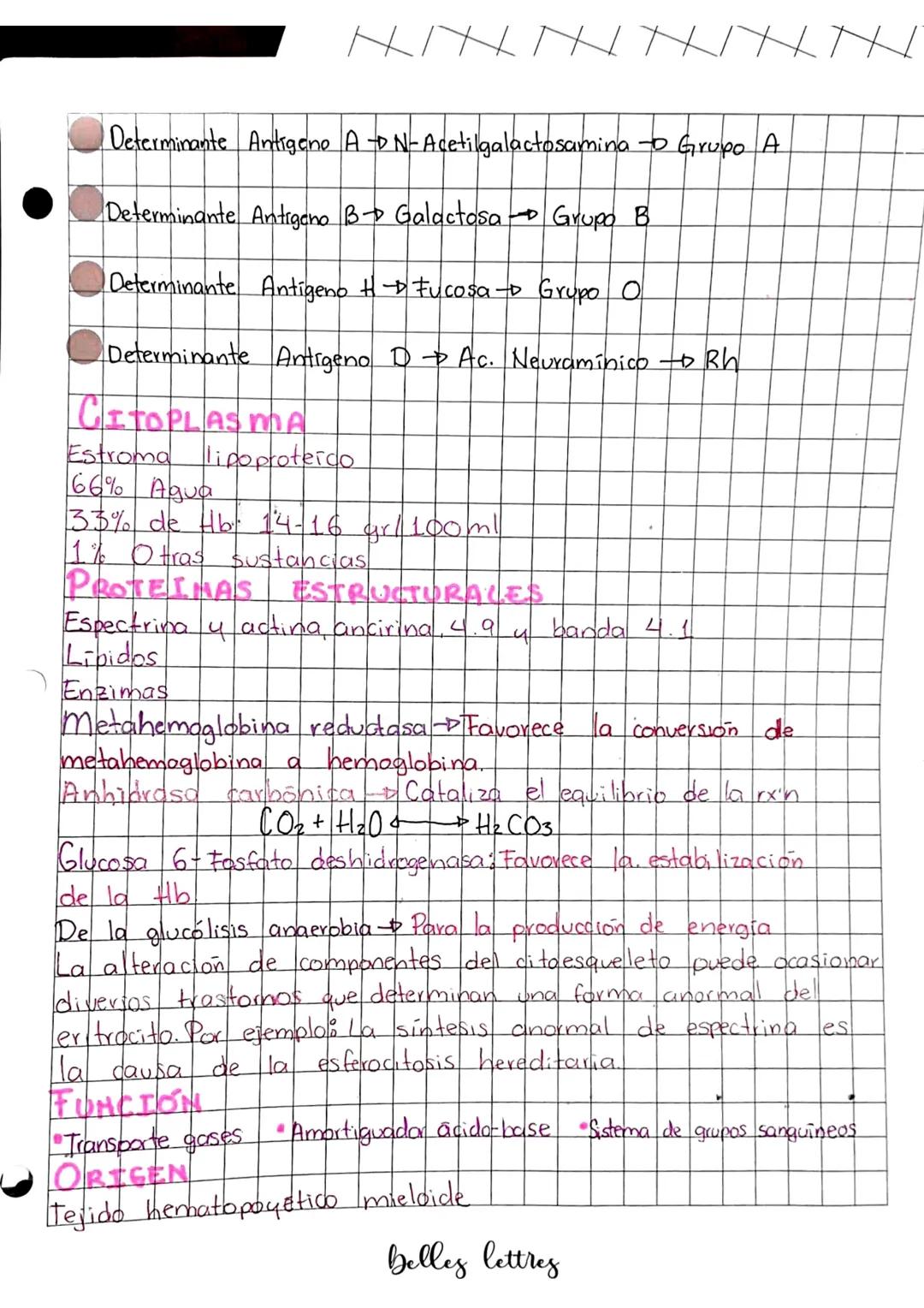 # Banco de Sangre
Composición del tojiganguineo
El tejido sanguíneo o Sangre:
* Variedad especializada de tejido conectivo
* Consisten