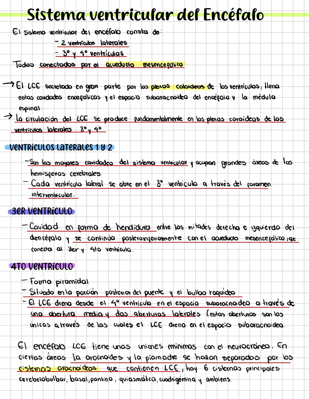 # Sistema ventricular del Encéfalo
El sistema ventricular del encéfalo consta de:
- 2 ventrículos laterales
- 3º y 4° ventrículas
Todas co