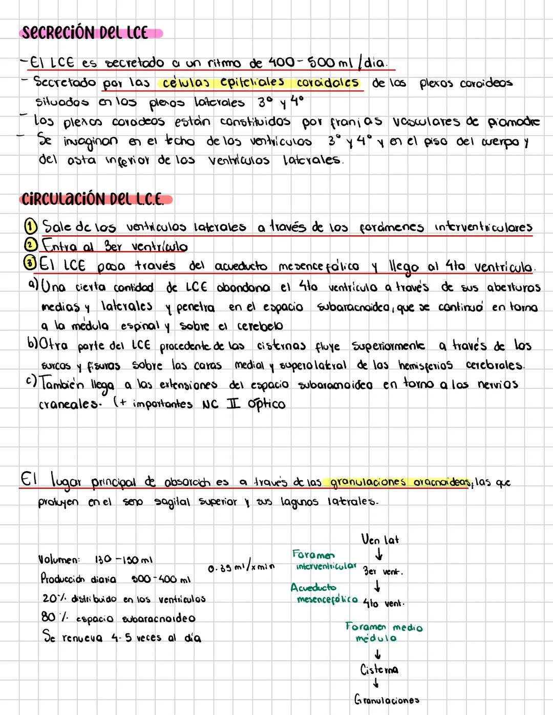 # Sistema ventricular del Encéfalo
El sistema ventricular del encéfalo consta de:
- 2 ventrículos laterales
- 3º y 4° ventrículas
Todas co