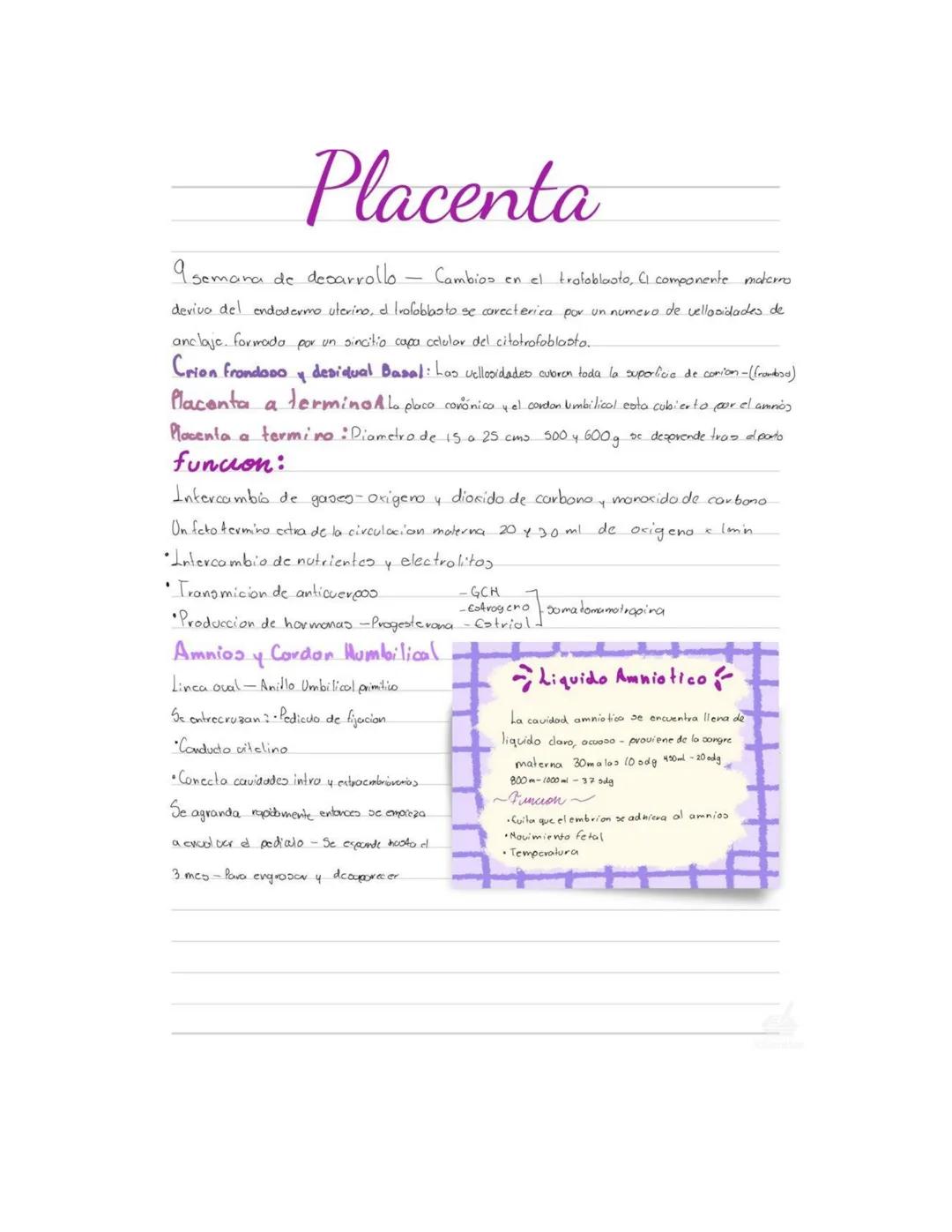 # Placenta
9 semana de desarrollo - Cambios en el troloblasto, CI componente materro
devivo del endodermo uterino, d Irofoblasto se carecte